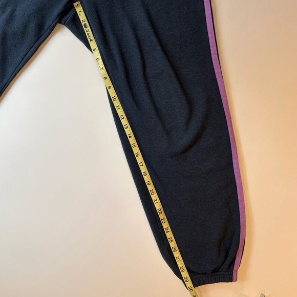 Aviator Nation five-stripe sweatpants (XL, charcoal/blue/purple) - Picture 8 of 10